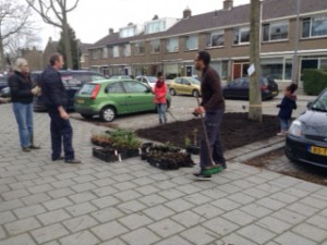 20141213 planten Coutshoornstr (1)