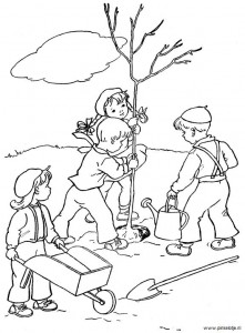 boomplanten