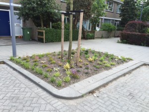 20150610wormserstr (2)