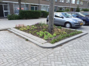 20150610wormserstr (3)