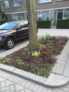 20150610wormserstr (5)