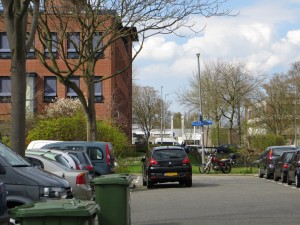 IMG_2449