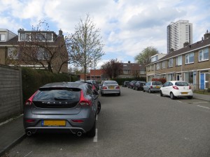 IMG_2450